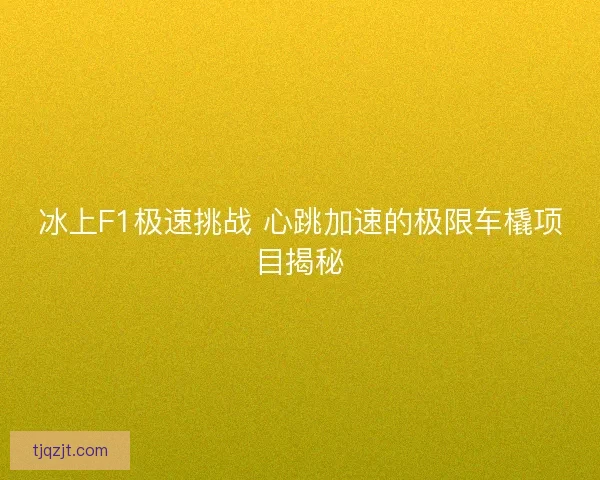 冰上F1极速挑战 心跳加速的极限车橇项目揭秘 冰上F1极速挑战 心跳加速的极限车橇项目揭秘